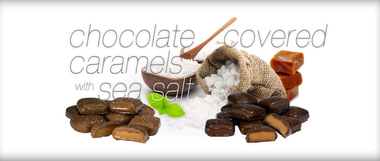 Wilbur Chocolate Buy Wilbur Buds and Chocolate Gifts Online