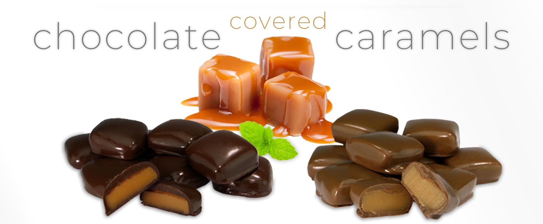 Wilbur Chocolate Buy Wilbur Buds and Chocolate Gifts Online