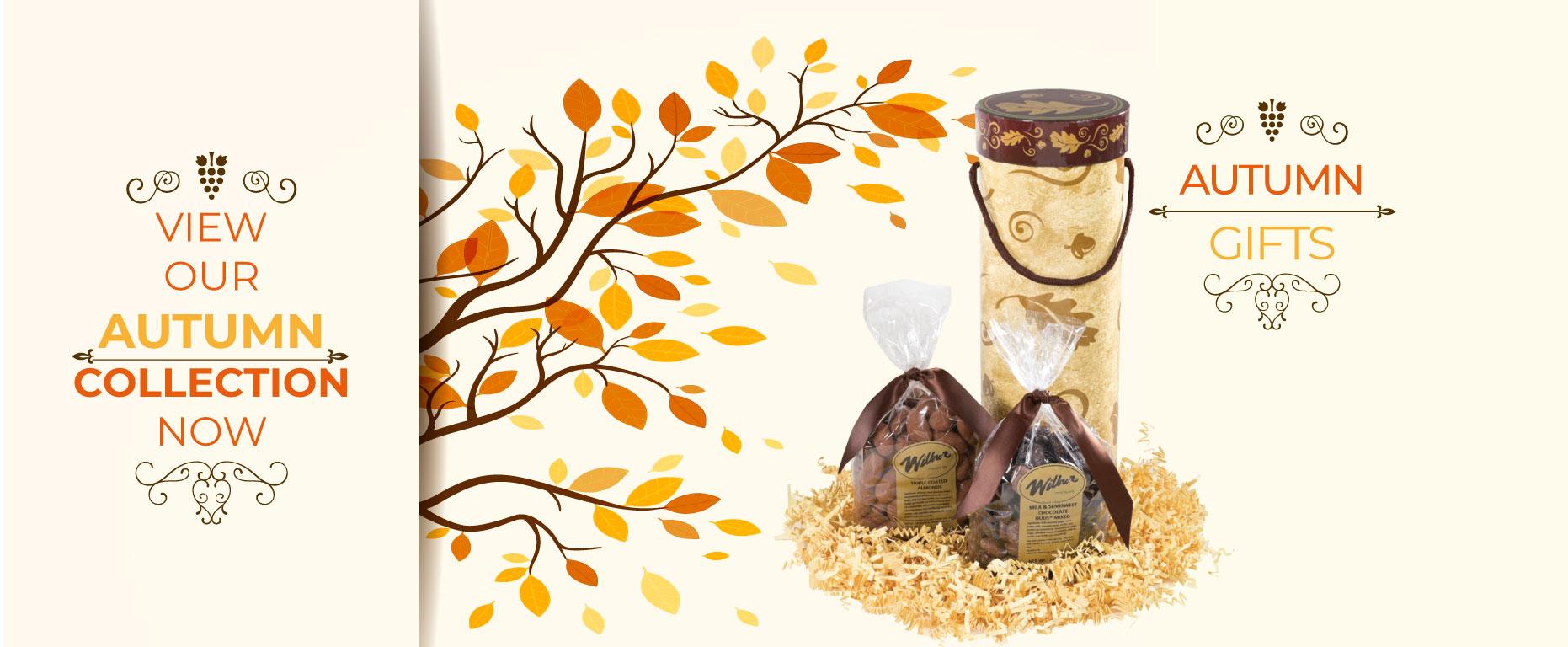 Wilbur Chocolate Buy Wilbur Buds and Other Chocolate Gifts Online